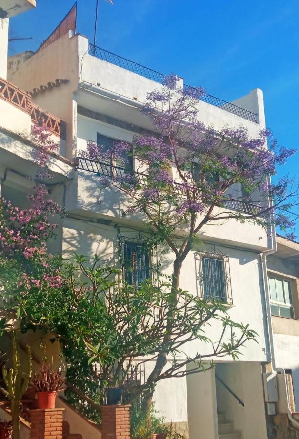 카사라보넬라 La Jacaranda 빌라 외부 사진
